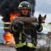 Rescatan a perrito tras explosión de ducto en Amozoc, Puebla