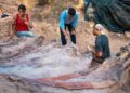 Hallan en Portugal un enorme dinosaurio del periodo Jurásico