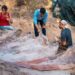 Hallan en Portugal un enorme dinosaurio del periodo Jurásico