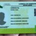 Presunto coyote fue detenido con 500 licencias de conducir