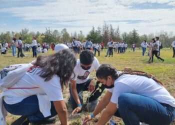 Refuerzan reforestación en el parque Tangamanga 1