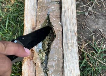 Intentan introducir droga al penal de La Pila