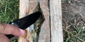 Intentan introducir droga al penal de La Pila