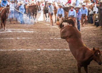 Equipos de Excelencia en los Torneos Charros FENAPO 2022