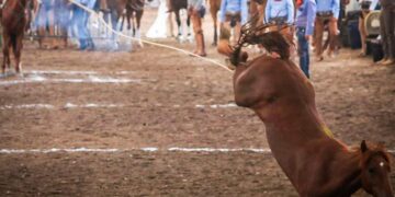 Equipos de Excelencia en los Torneos Charros FENAPO 2022