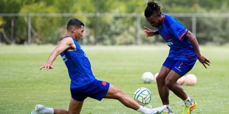 Pumas el siguiente rival del Atlético de San Luis