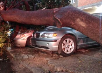 SSPC de la Capital brinda auxilios a la población por lluvia de este martes