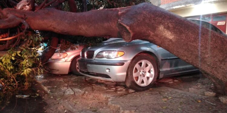 SSPC de la Capital brinda auxilios a la población por lluvia de este martes