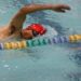 Nutrida participación en los Relevos de Natación Fenapo Inpode