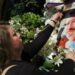 Asesinato de Colosio: Corte revisa sentencia de Mario Aburto, ¿quedará libre?