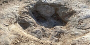 Sequía deja al descubierto huellas de dinosaurio ocultas millones de años