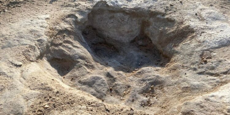 Sequía deja al descubierto huellas de dinosaurio ocultas millones de años