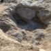 Sequía deja al descubierto huellas de dinosaurio ocultas millones de años