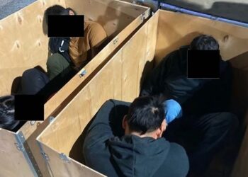 Desmantelan en EU a red de traficantes de migrantes que los trasladaban en cajas y maletas