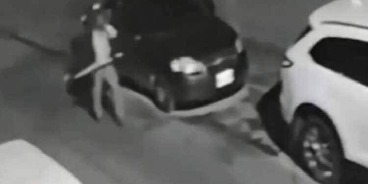 Vídeo: ¡Pero que le hicieron! Una mujer ‘destruye’ a palazos 25 autos en SLP