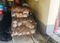 Rescatan a 150 gatos destinados para consumo humano en China
