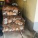 Rescatan a 150 gatos destinados para consumo humano en China