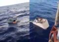 Video: Pescador sobrevivió 11 días dentro de un congelador en el Océano Atlántico