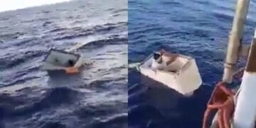 Video: Pescador sobrevivió 11 días dentro de un congelador en el Océano Atlántico