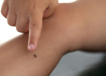 Ay, nanita: ¡el dengue viene bravo!; hay 5 mil casos en el país (y pueden ser más)