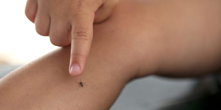 Ay, nanita: ¡el dengue viene bravo!; hay 5 mil casos en el país (y pueden ser más)