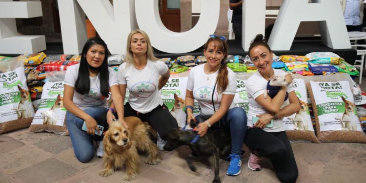 Asociaciones de perros callejeros agradecen al Gobierno Estatal donación de croquetas