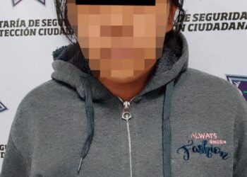 Detienen a la madre de los menores encontrados en Pozos