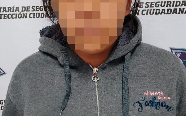 Detienen a la madre de los menores encontrados en Pozos