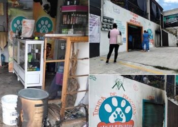 Vídeo: Sujeto prendió fuego a veterinaria en Puebla, murieron 8 animales