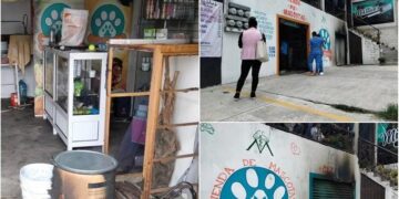 Vídeo: Sujeto prendió fuego a veterinaria en Puebla, murieron 8 animales