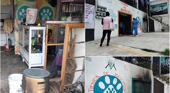Vídeo: Sujeto prendió fuego a veterinaria en Puebla, murieron 8 animales