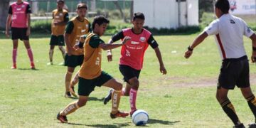 El fin de semana se jugará la Copa Telmex en etapa Estatal