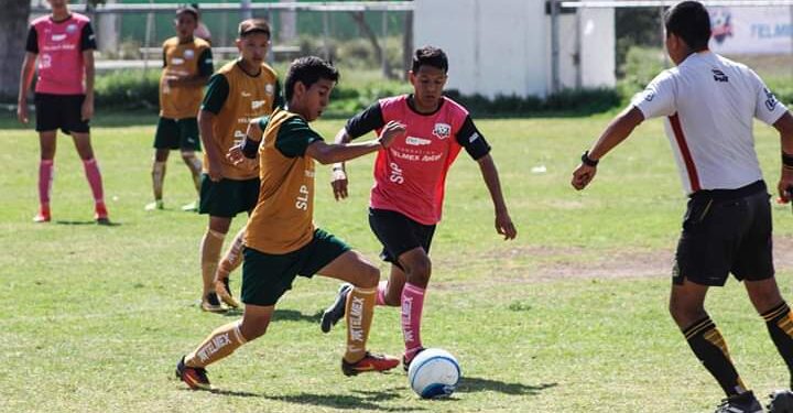 El fin de semana se jugará la Copa Telmex en etapa Estatal