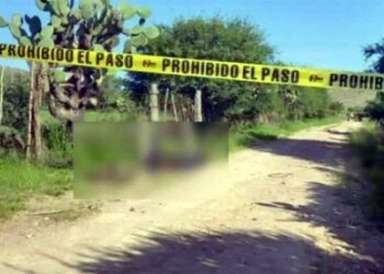 Masacre en Zacatecas: Reportan 8 personas asesinadas cerca de la capital del estado