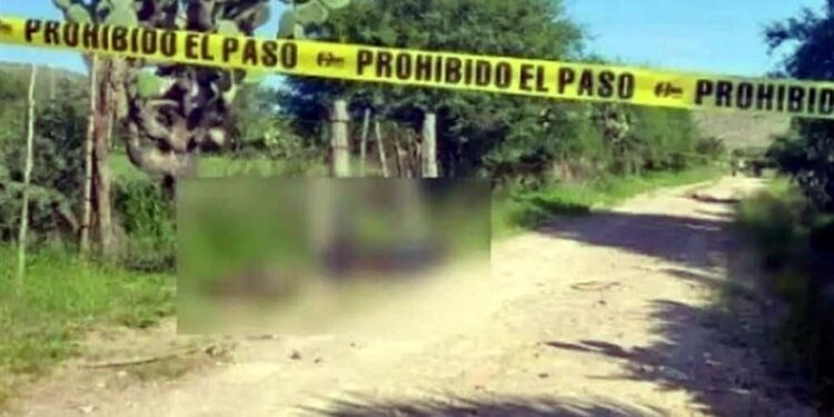 Masacre en Zacatecas: Reportan 8 personas asesinadas cerca de la capital del estado