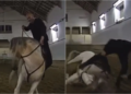 Video | Zinedine Zidane sufre caída de un caballo, pero se lució con una acrobacia