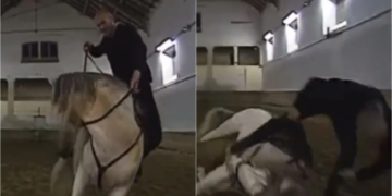 Video | Zinedine Zidane sufre caída de un caballo, pero se lució con una acrobacia