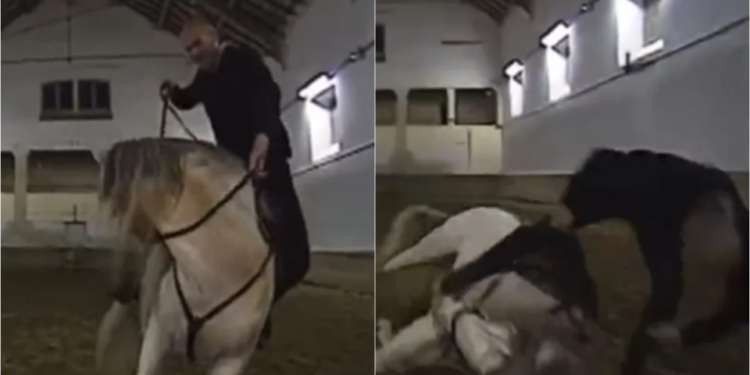 Video | Zinedine Zidane sufre caída de un caballo, pero se lució con una acrobacia