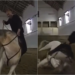 Video | Zinedine Zidane sufre caída de un caballo, pero se lució con una acrobacia