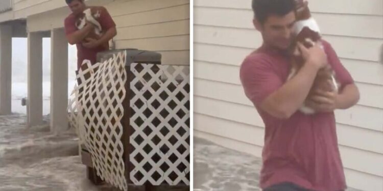 Vídeo: Hombre rescata a  gatito de una inundación en Florida por huracán Ian