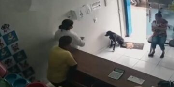 Perrito callejero con la pata herida pidió ayuda en una veterinaria