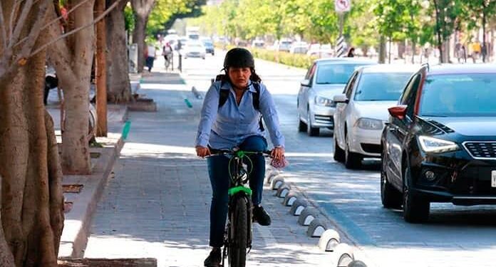 La ciclovía perjudicó a negocios de Av. Carranza, asegura IP
