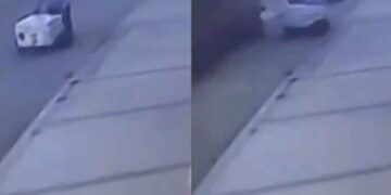 Vídeo: ¡Indignante! abuelito fue arrollado con todo y su carrito de paletas en Sinaloa