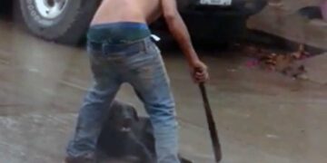 Imágenes sensibles:¡Crueldad animal! Cuelgan y machetean a perritos en Hidalgo