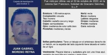 Identifican la cabeza que llevaba un perro en Zacatecas; era de un taxista de SLP