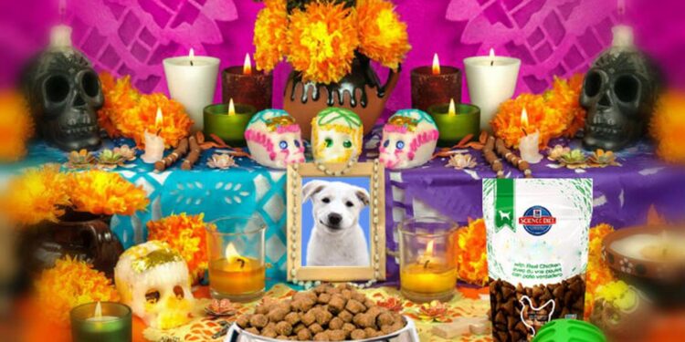 27 de octubre: ¿Qué se pone en la ofrenda para mascotas?