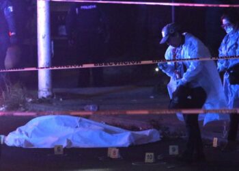 Asesinan a Esmeralda Gallardo, madre buscadora, en Puebla
