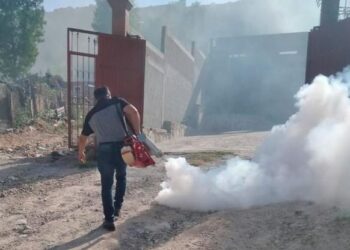 Confirman dos casos de dengue en SLP