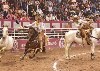 Potrillos RG2 a Semifinales del Nacional