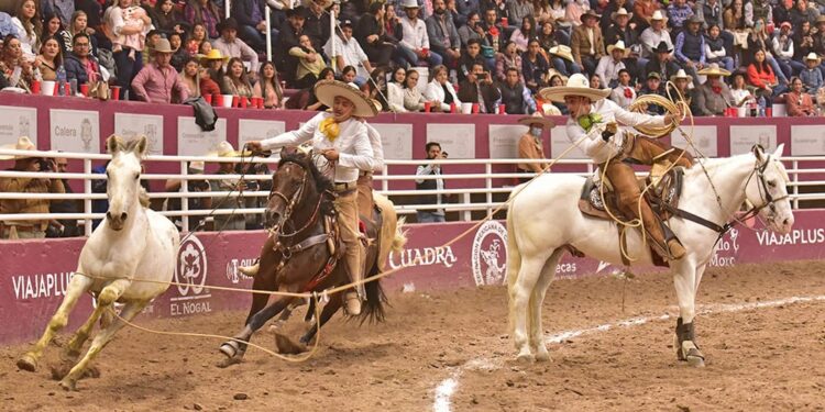 Potrillos RG2 a Semifinales del Nacional